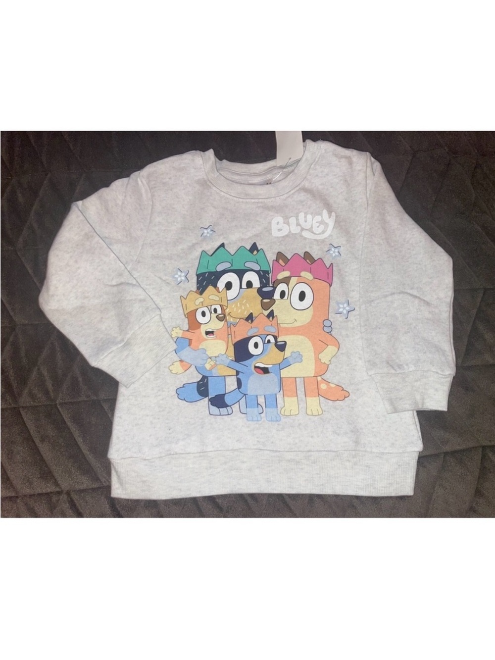 Graphic Bluey Crewneck Sweatshirt - Light Gray